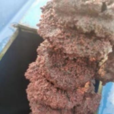 LC-AnDeN ammonia oxidation biological denitrification technology