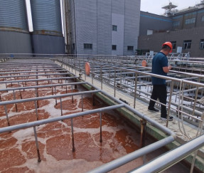 Wastewater standard improvement and transformation