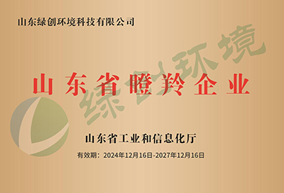 Gazelle Enterprise Certificate