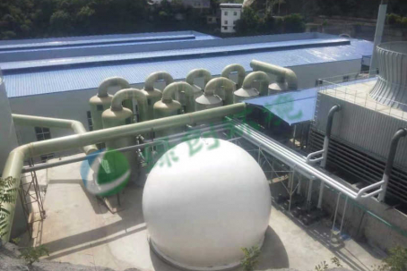 Shaanxi Yonghong Biotechnology Co., Ltd. Waste Gas Treatment Phase II Project