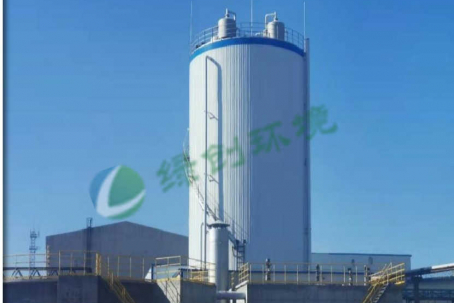 Ningxia Qiyu Biological Co., Ltd. sewage treatment reconstruction and expansion project
