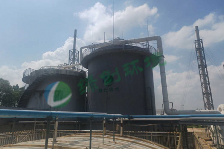 Jiangxi Xinruifeng Biochemical Co., Ltd. Pesticide Wastewater Treatment Project