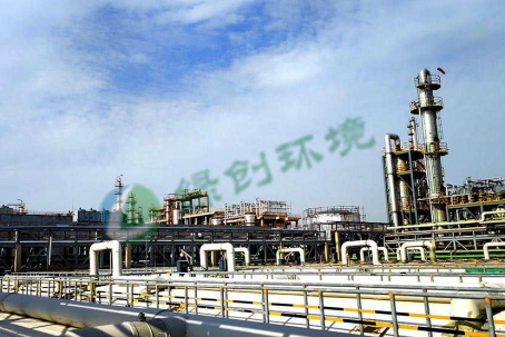 Waste gas treatment project of Weifang Xinlv Chemical Co., Ltd.