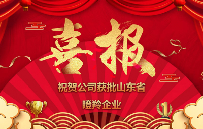 Good news! Warm congratulations to our company for being approved as a gazelle enterprise in Shandong Province