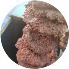 LC-AnDeN ammonia oxidation biological denitrification technology