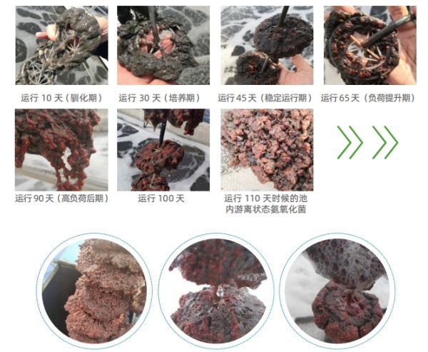 1719220027454604.jpg WeChat screenshot_20240624170532 Vice.jpg