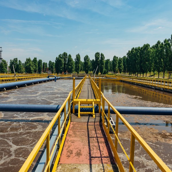 af3f0a81-ce30-46d8-af85-7ee18ce8082b Vice.jpg