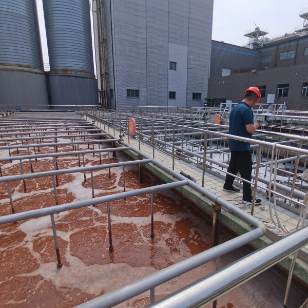 1722245315436989.jpg 0d679c3b-a0b7-4fa6-b372-569751532cbd deputy.jpg