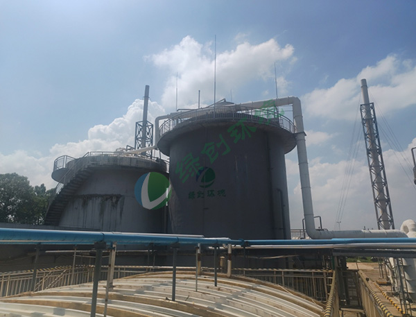 Jiangxi Xinruifeng Biochemical Co., Ltd. Pesticide Wastewater Treatment Project
