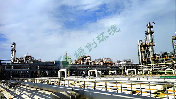 Waste gas treatment project of Weifang Xinlv Chemical Co., Ltd.