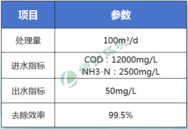 Ningxia Jielikang Biotechnology Co., Ltd. production wastewater treatment project