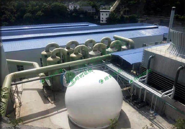 Shaanxi Yonghong Biotechnology Co., Ltd. Waste Gas Treatment Phase II Project