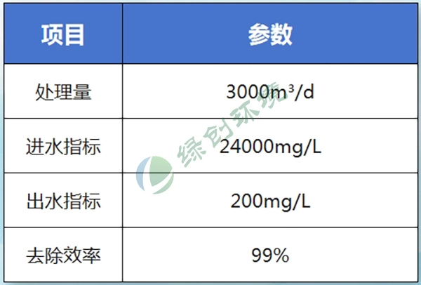 Shaanxi Yonghong Biotechnology Co., Ltd. Turmeric Saponin Production Wastewater Treatment Project