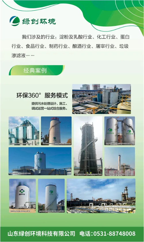 Shandong Fenton Fluidized Bed