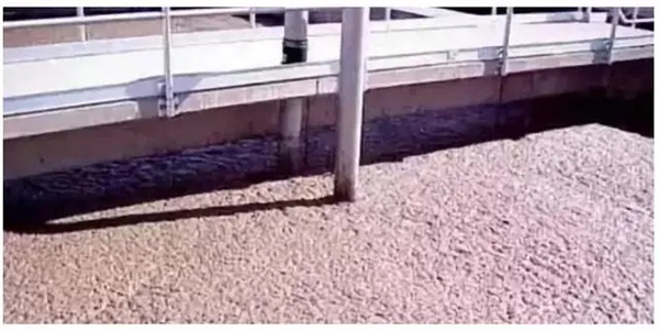 Sewage treatment project Sewage treatment project