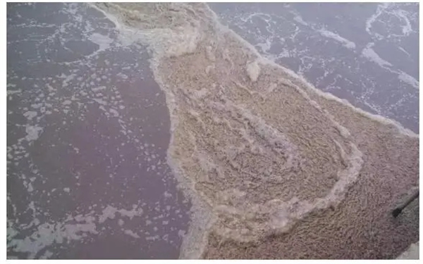 Sewage treatment project Sewage treatment project