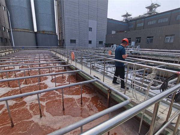 Effects of Sulfates on Anaerobic Systems