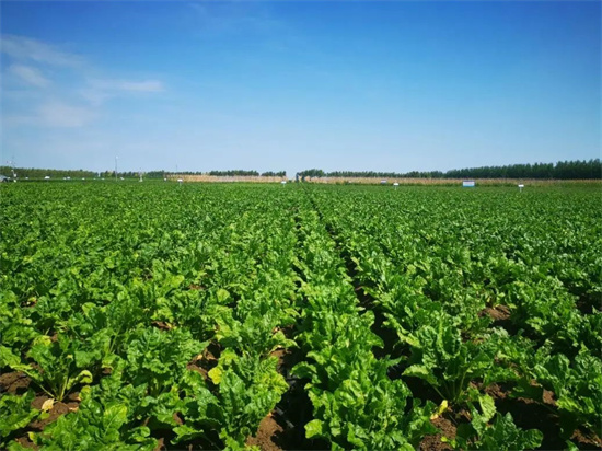 Wastewater treatment engineering