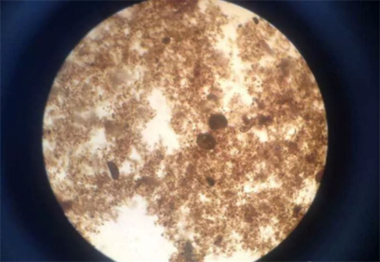 Activated sludge experience summary Activated sludge experience summary